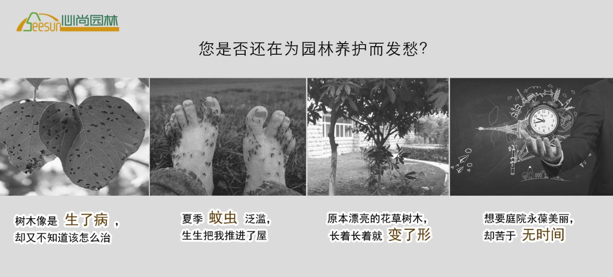 问鼎国际PG(中国区) - 官方网站