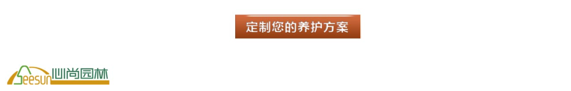 问鼎国际PG(中国区) - 官方网站